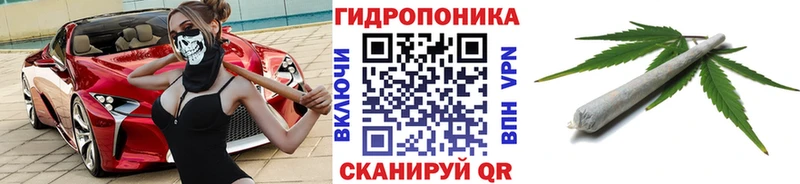 Бошки марихуана план  Гаврилов-Ям 